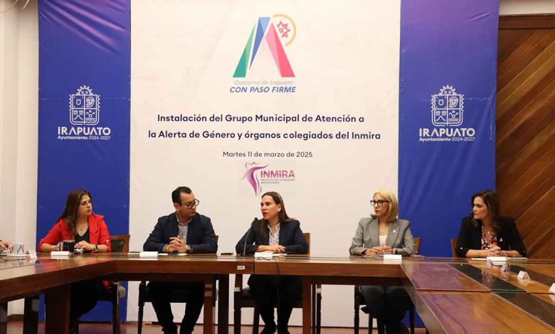 órganos colegiados del INMIRA